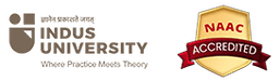 Indus Institute of Aviation Technology and Engineering logo